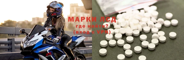 PSILOCYBIN Корсаков