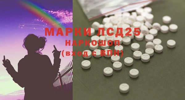 PSILOCYBIN Корсаков