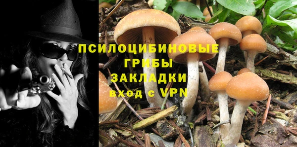 не бодяженный Краснослободск