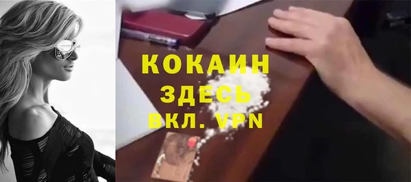 PSILOCYBIN Корсаков