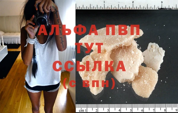 PSILOCYBIN Корсаков