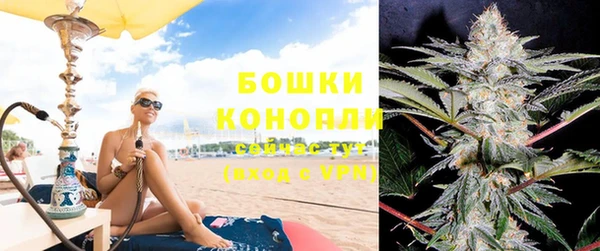 шишки Козловка