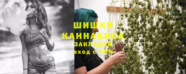 PSILOCYBIN Корсаков